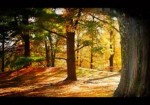 kettle-moraine-studio-tour-banner-1349071034