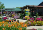 Destination Garden Center Ionia Eberts Destination Garden Center Ionia Eberts