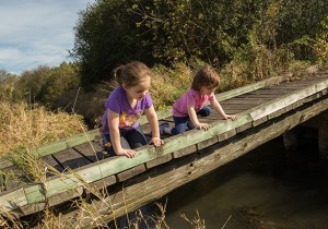 jefferson-county-parks-ice-age-trail-by-sierra-nixon Ice Age Trail in Jefferson County
