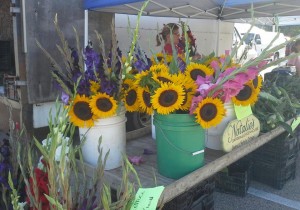 Watertown Farmers Market 2 Watertown Farmers Market