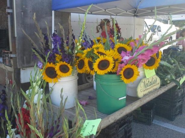 Watertown Farmers Market