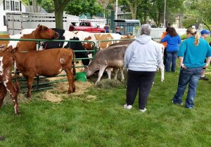Dairy Day Dairy Day