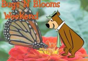 Bugs and Blooms Weekend Camping, Resorts, Campground, Campgrounds, Jellystone, Jellystone Park, Jellystone resorts, RV, Cabin rental, Cabins, Camping sites, Fort Atkinson camping, Yogi bear, Family camping, Family campground, Kid campground, Kid resort, bugs, blooms