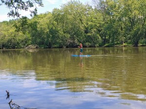 Stand-up paddle board on the Rock River
