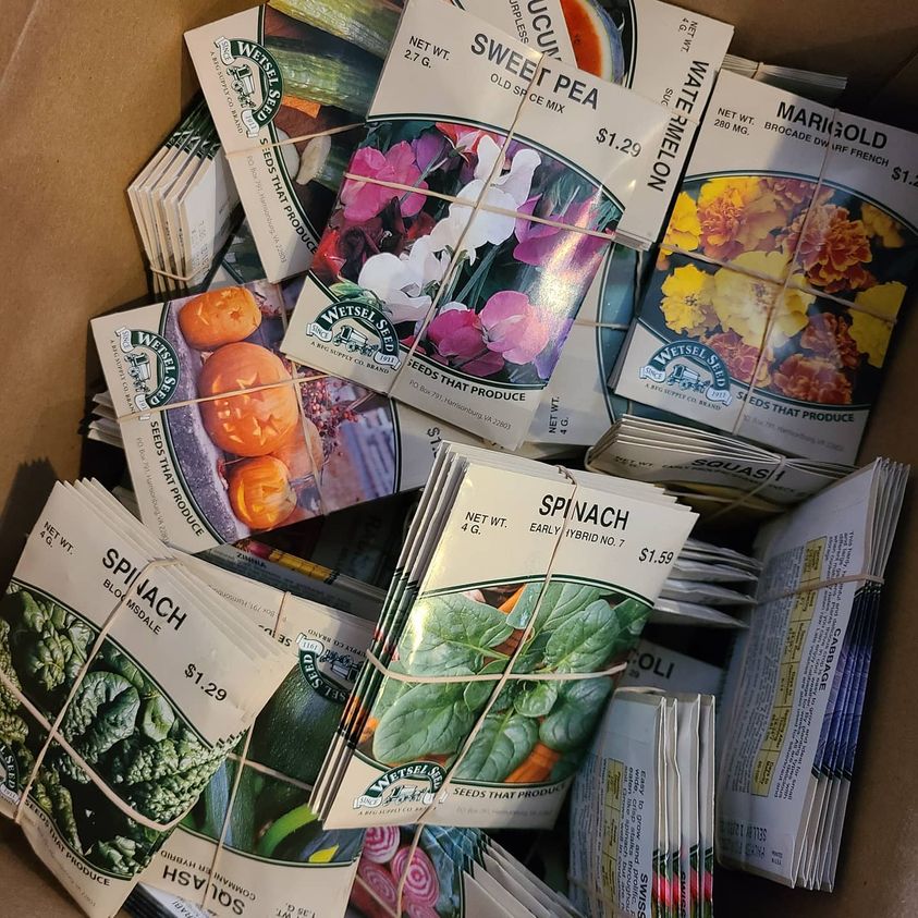 Seed packets from Avid Gardener