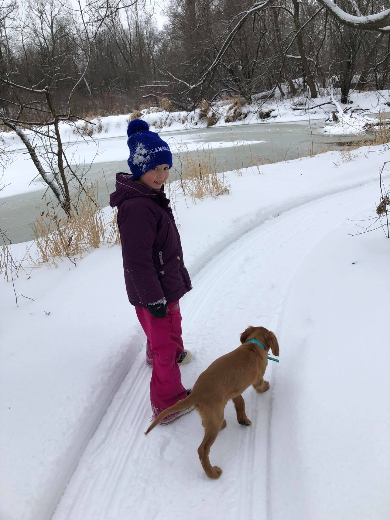Girl & puppy walking on fresh snow Camrock County Park Trail, Cambridge