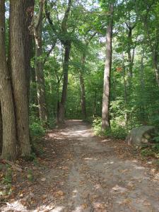 Brandt-Quirk Park Walking Trail